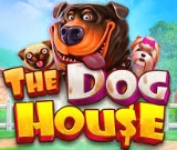The Dog House Megaways bei Tower Casino